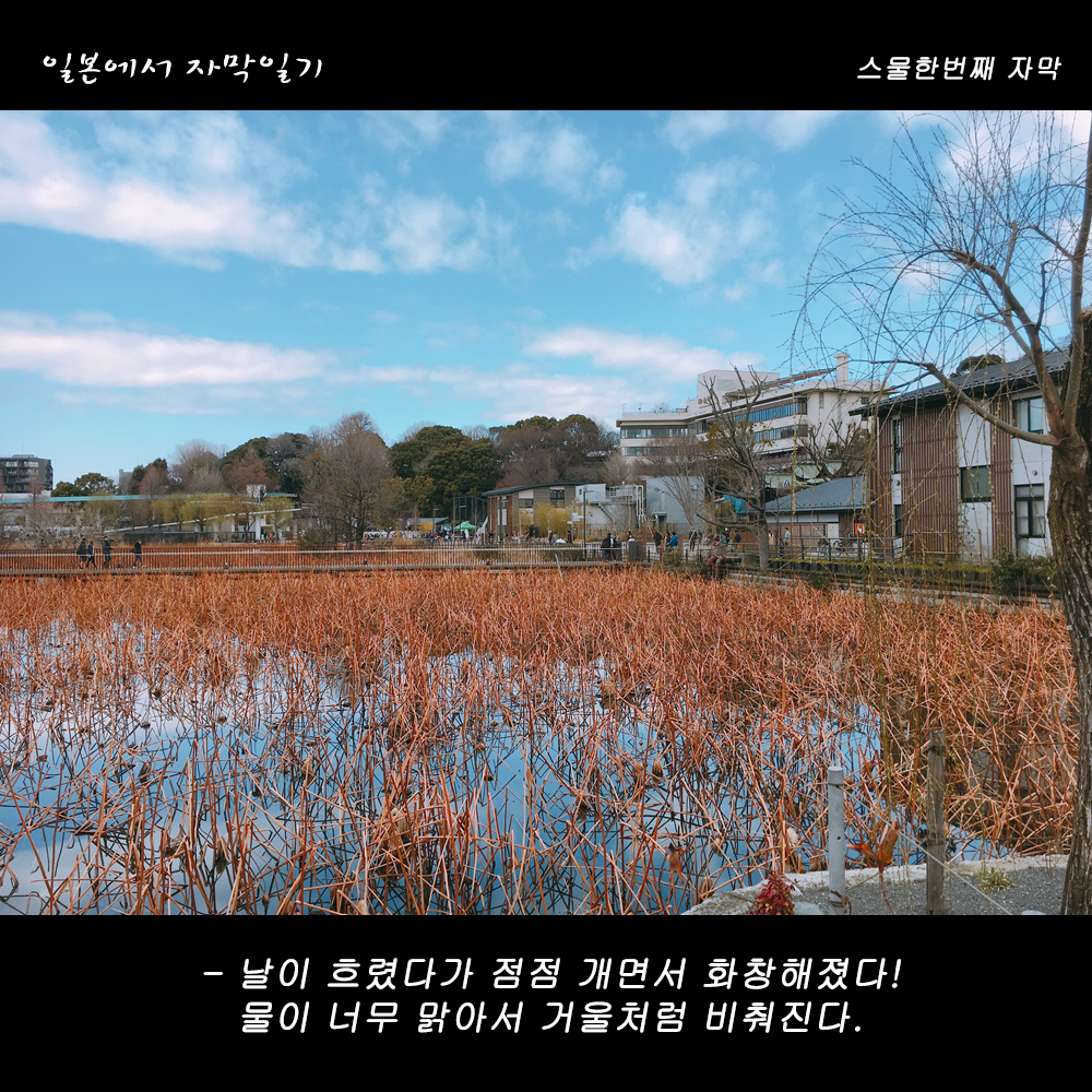 자막버전 copy.png