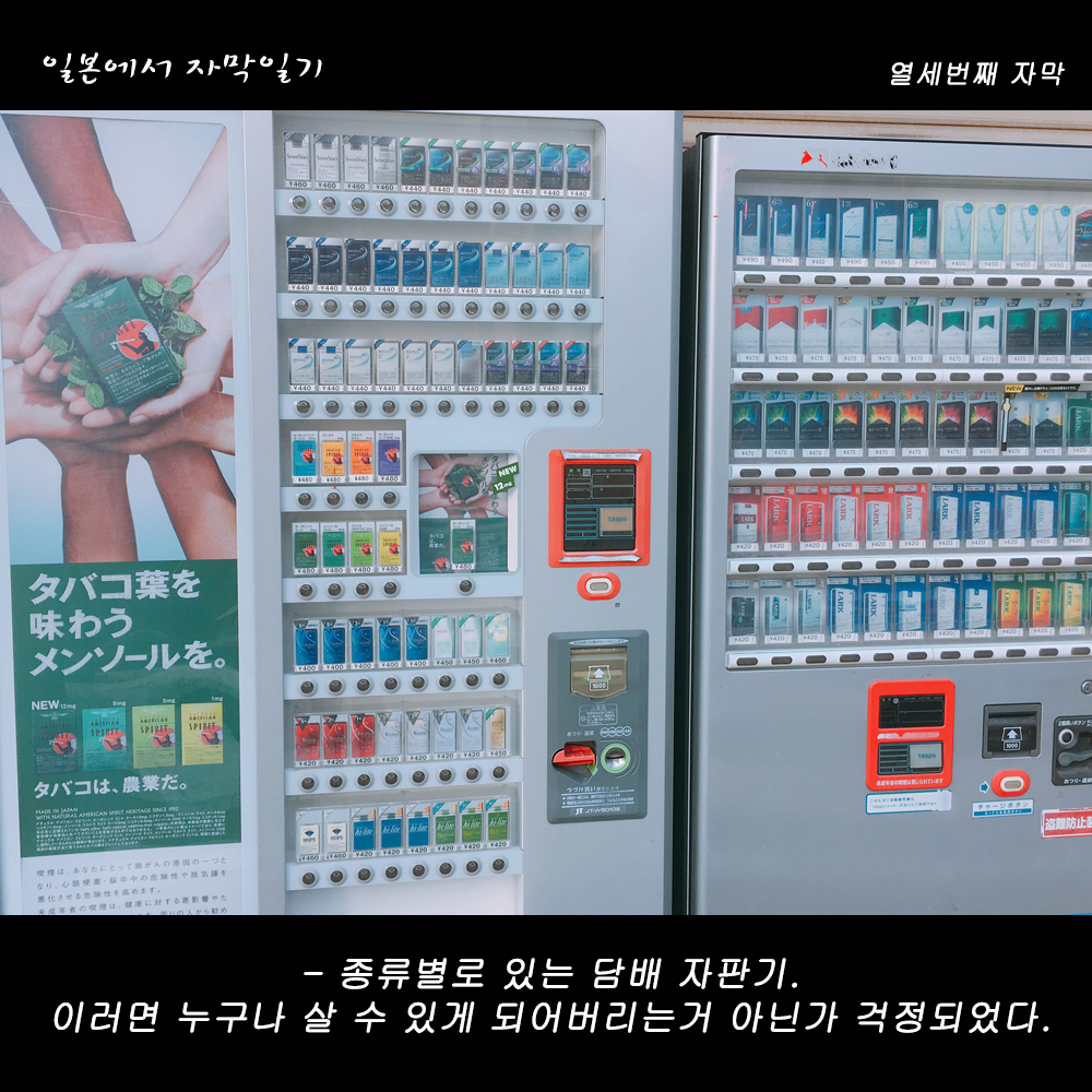 자막버전 copy 2.png