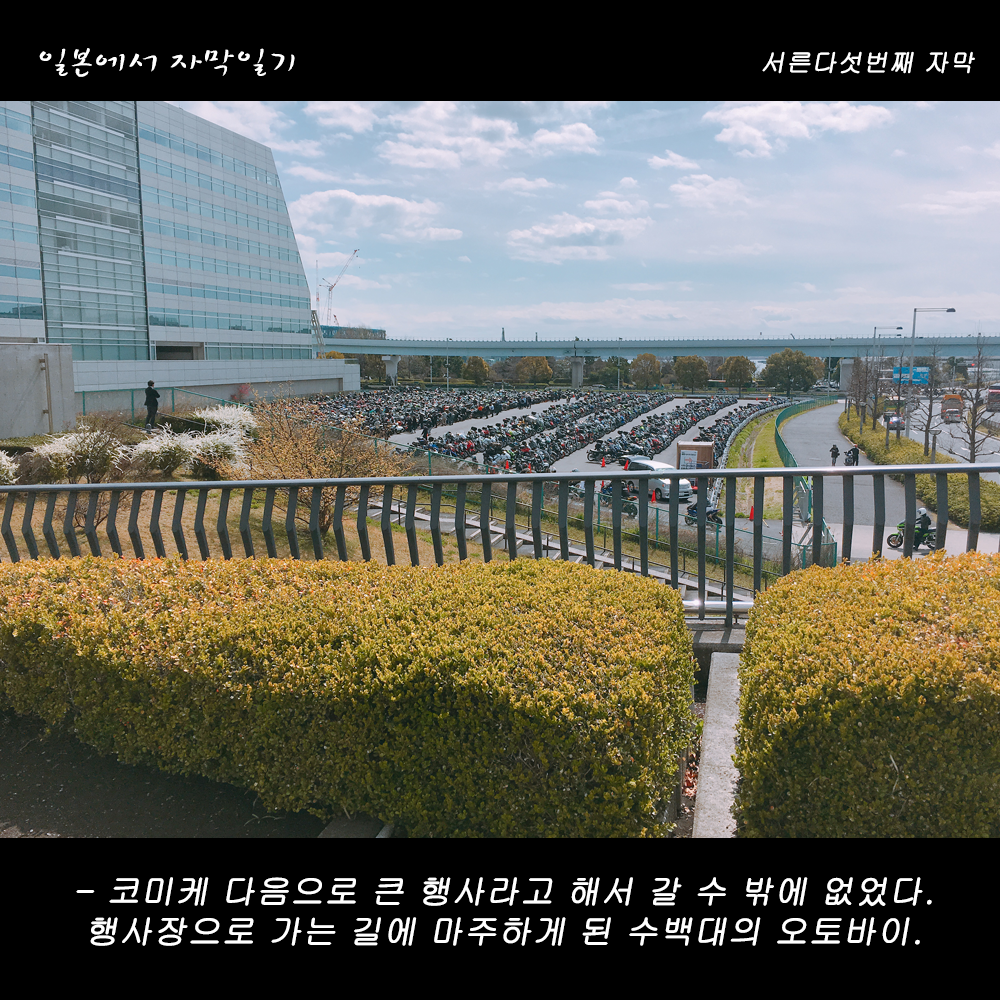 자막버전 copy.png