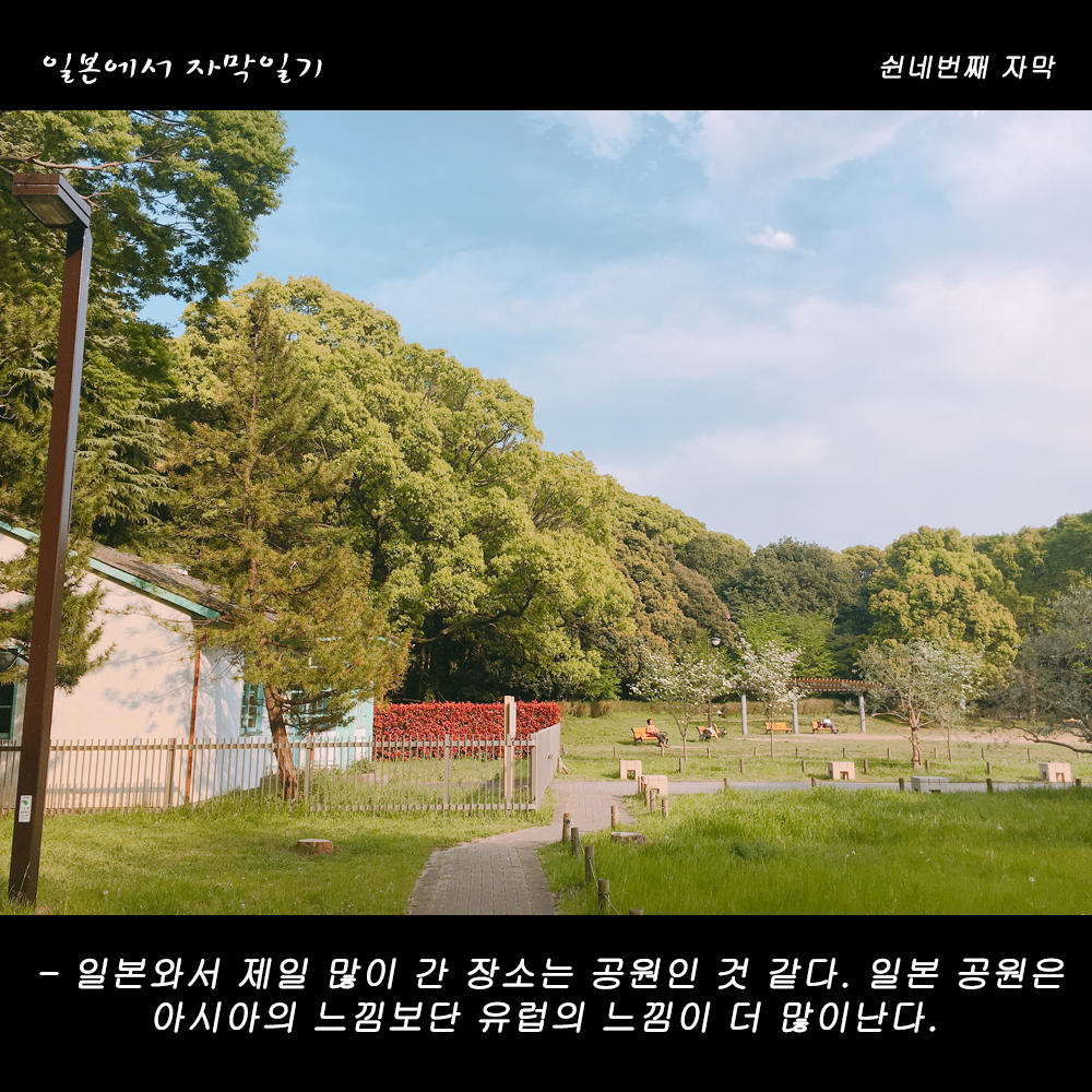 자막버전 copy.png