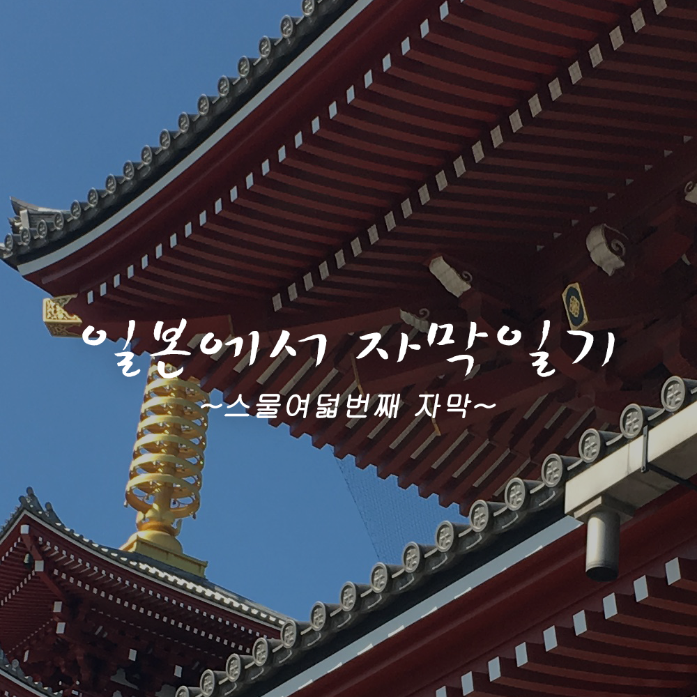 첫페이지 copy.png