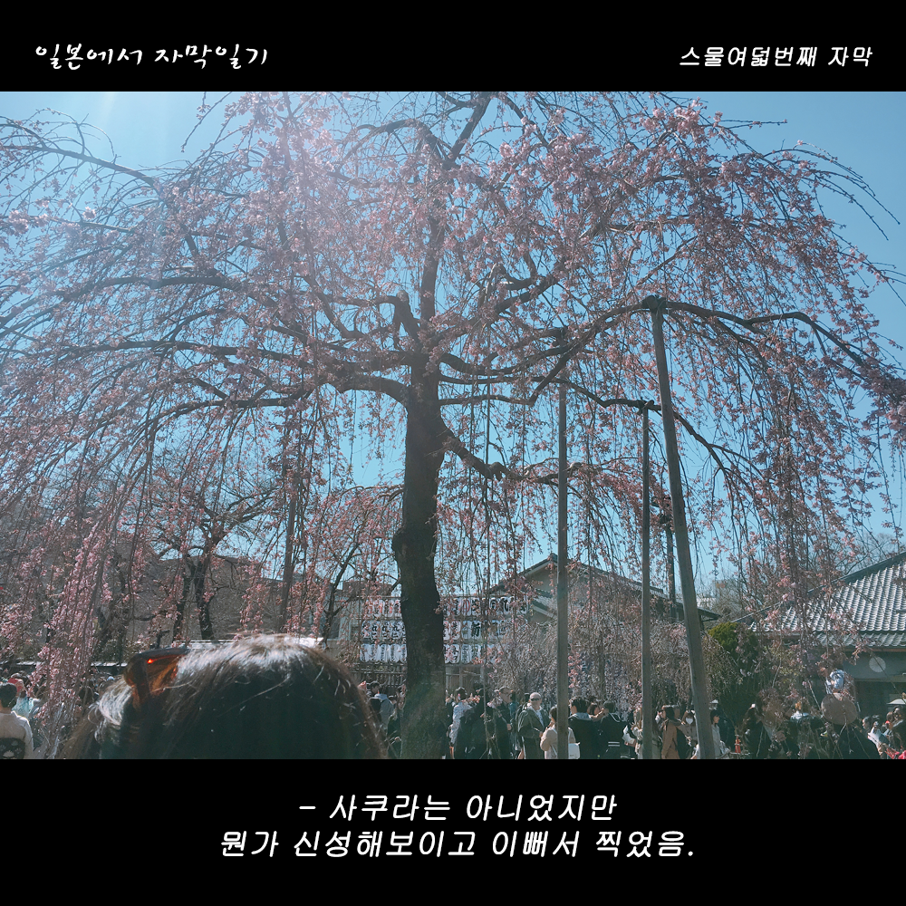 자막버전 copy 9.png