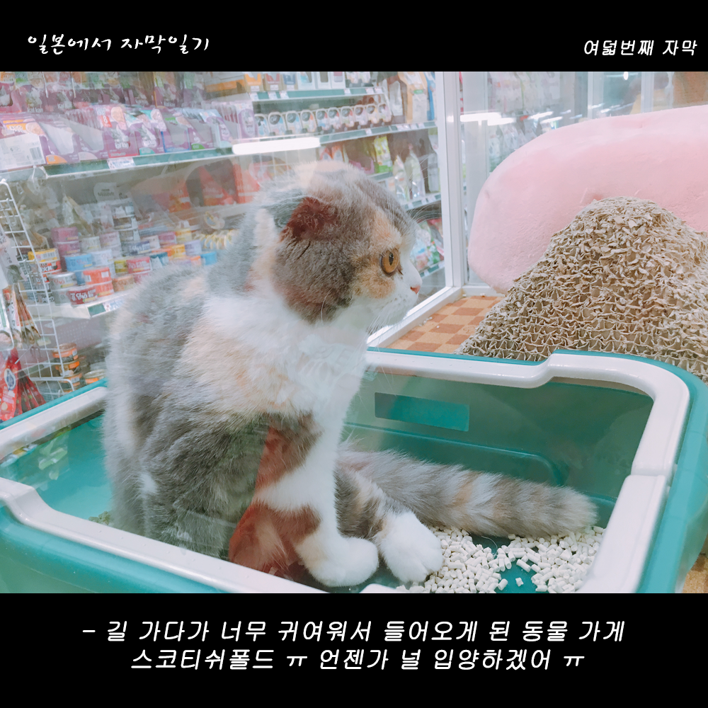 자막버전 copy 3.png