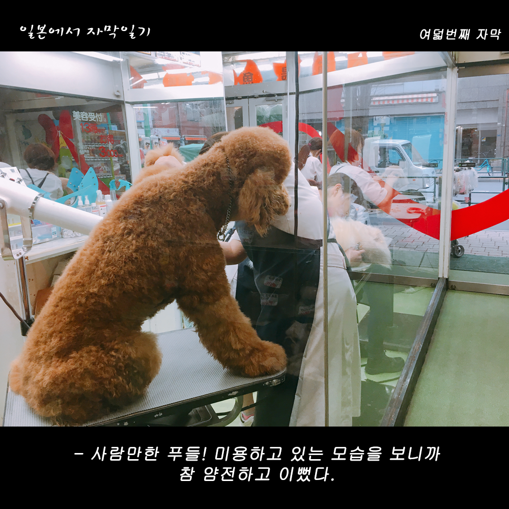 자막버전 copy 7.png