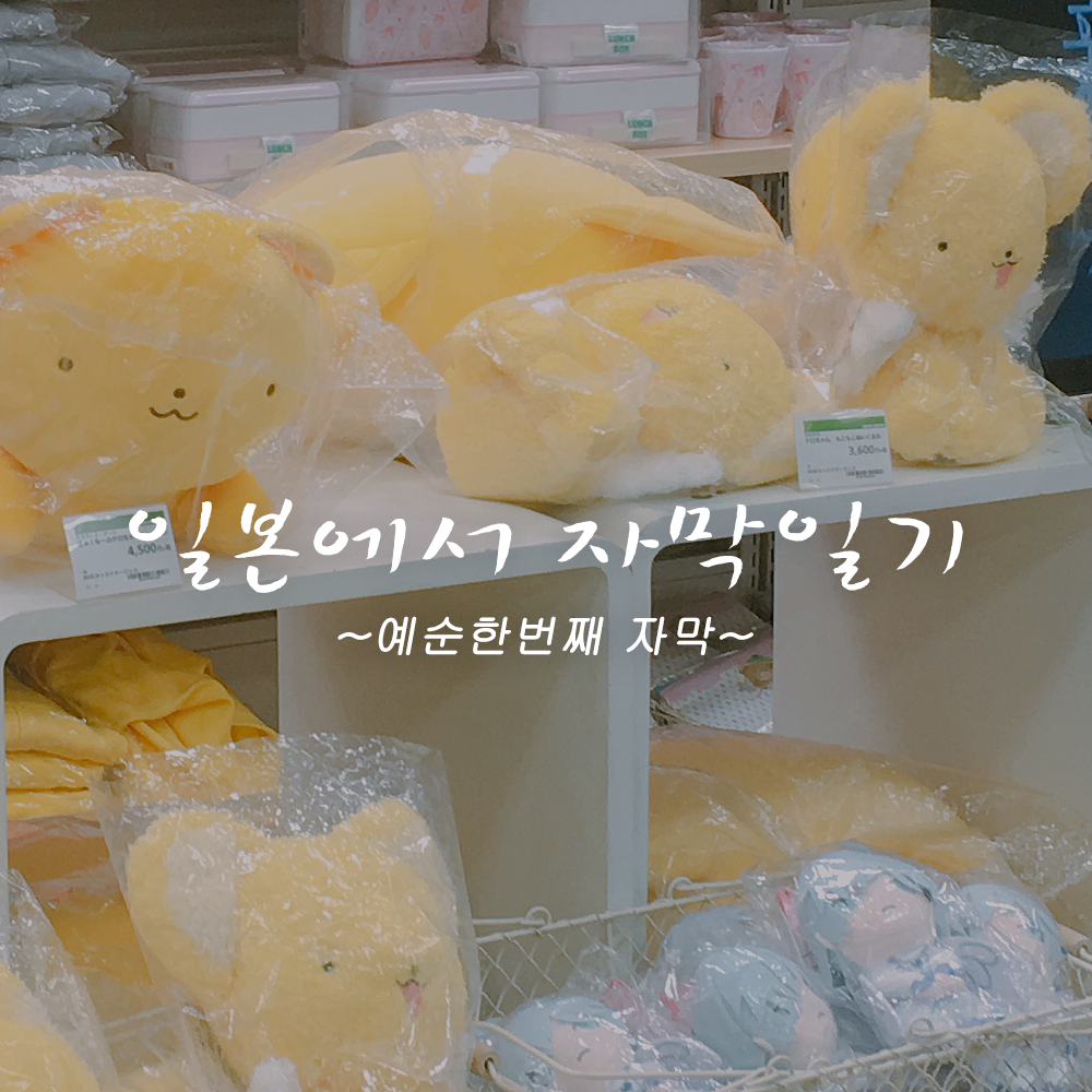 첫페이지 copy.png