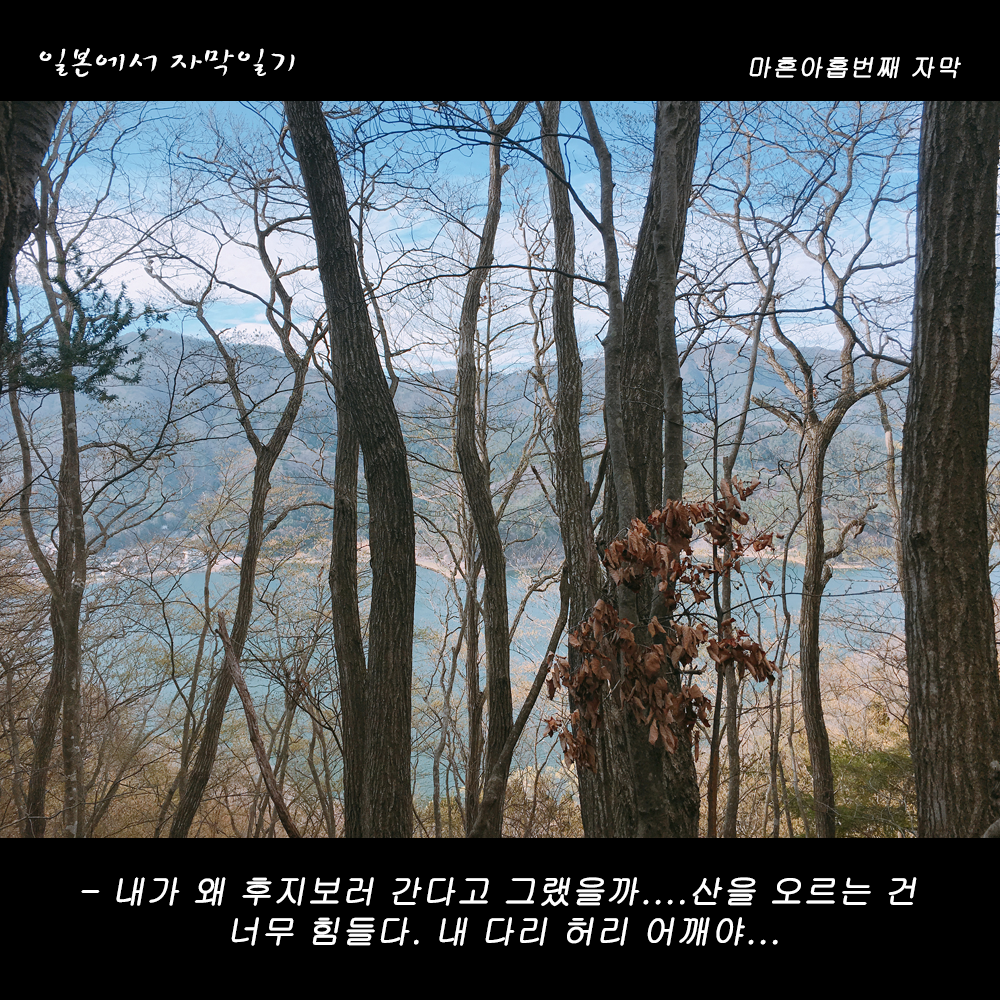 자막버전 copy 5.png