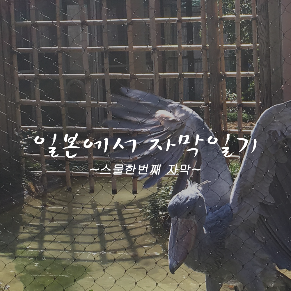 첫페이지 copy.png