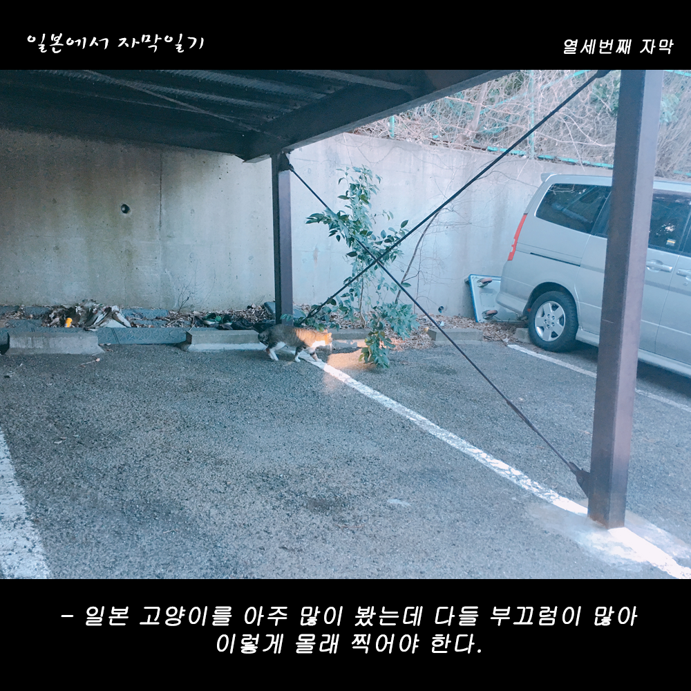 자막버전 copy.png