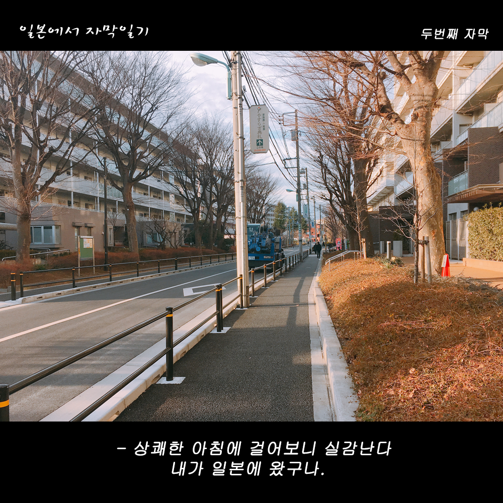 자막버전 copy.png