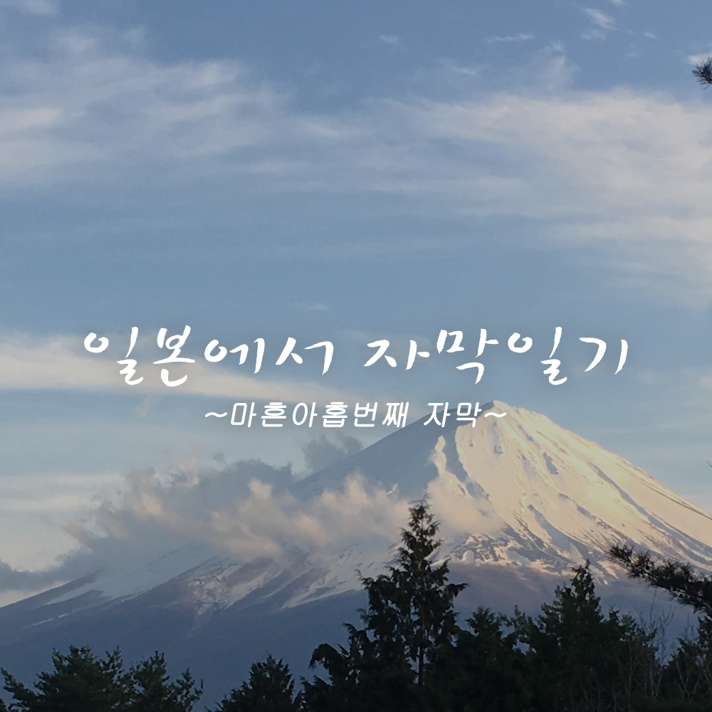 첫페이지 copy.png