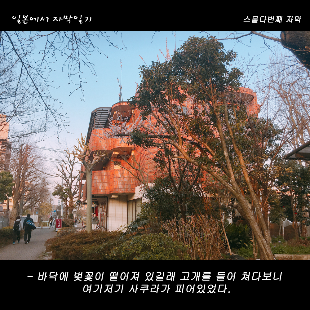 자막버전 copy.png