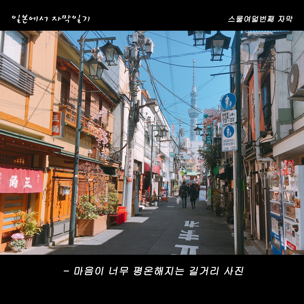 자막버전 copy 5.png