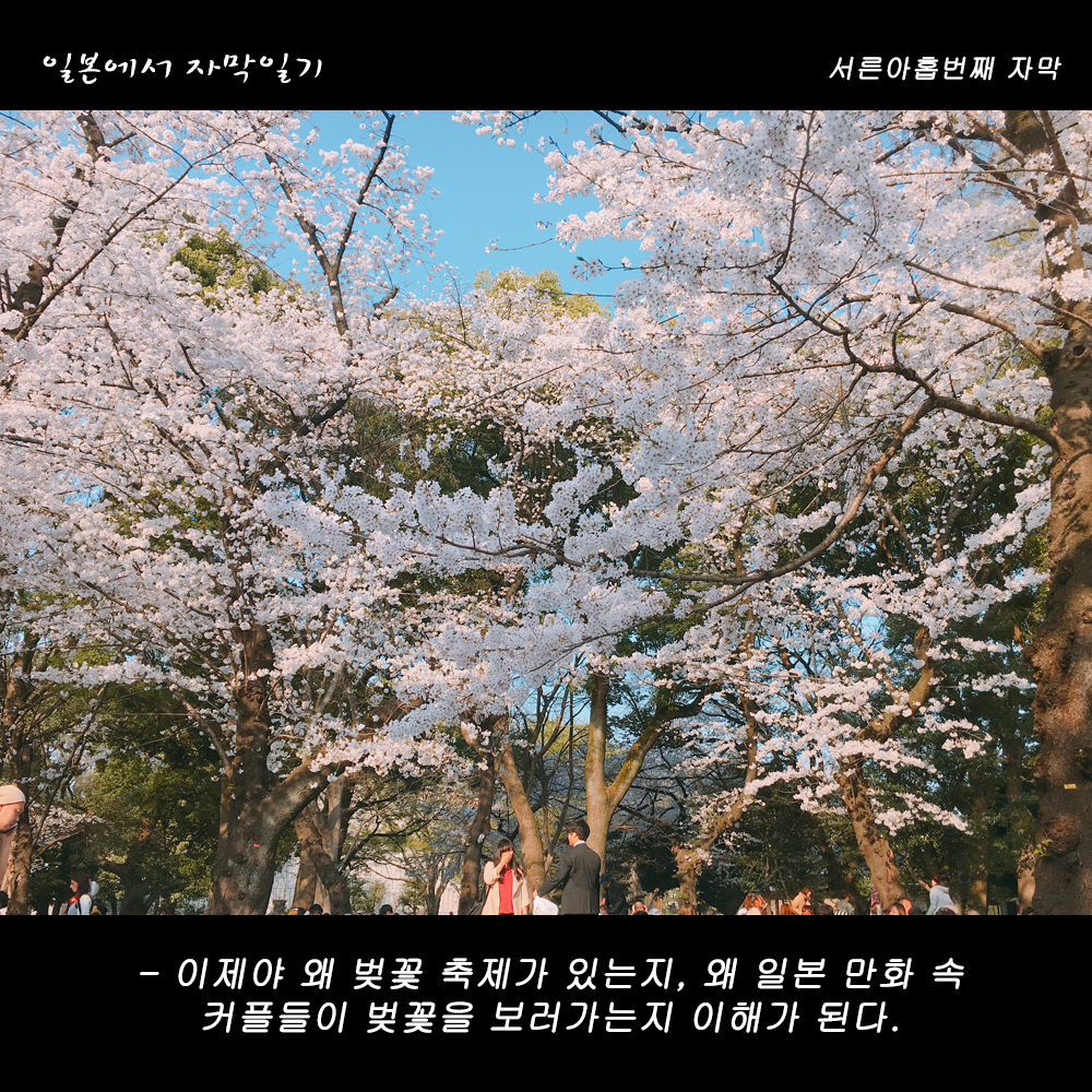 자막버전 copy 3.png