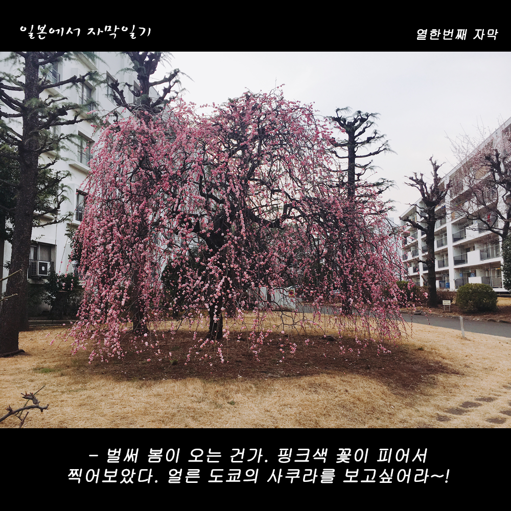 자막버전 copy 2.png