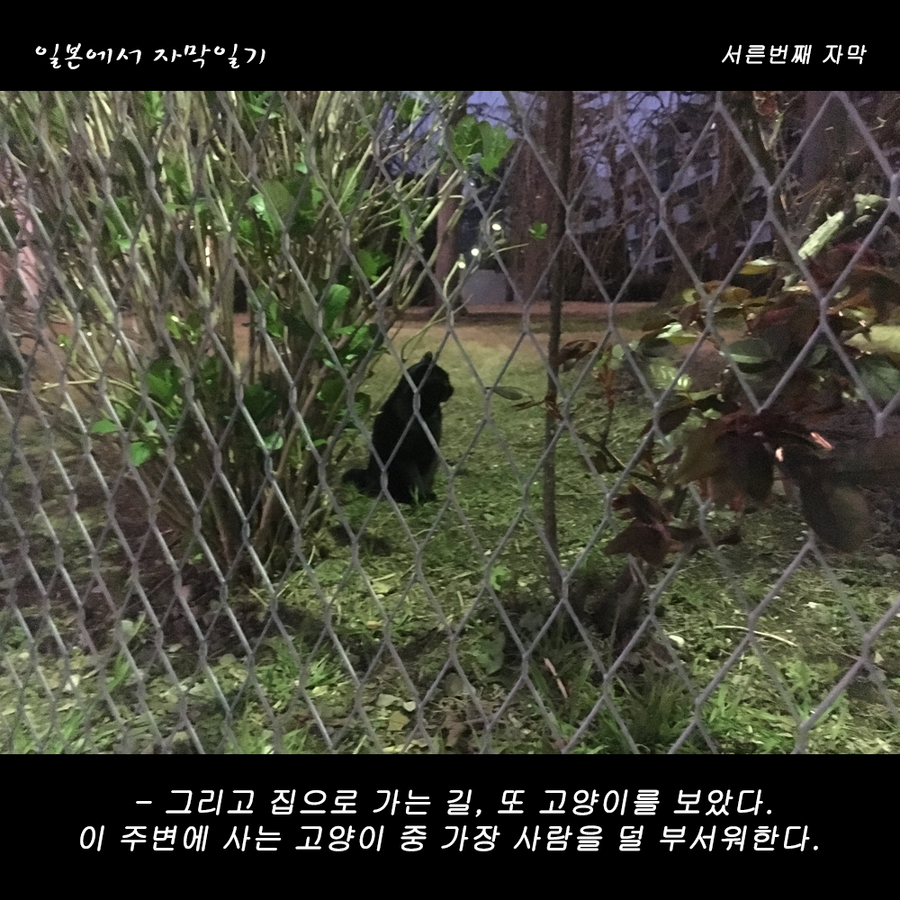 자막버전 copy 3.png