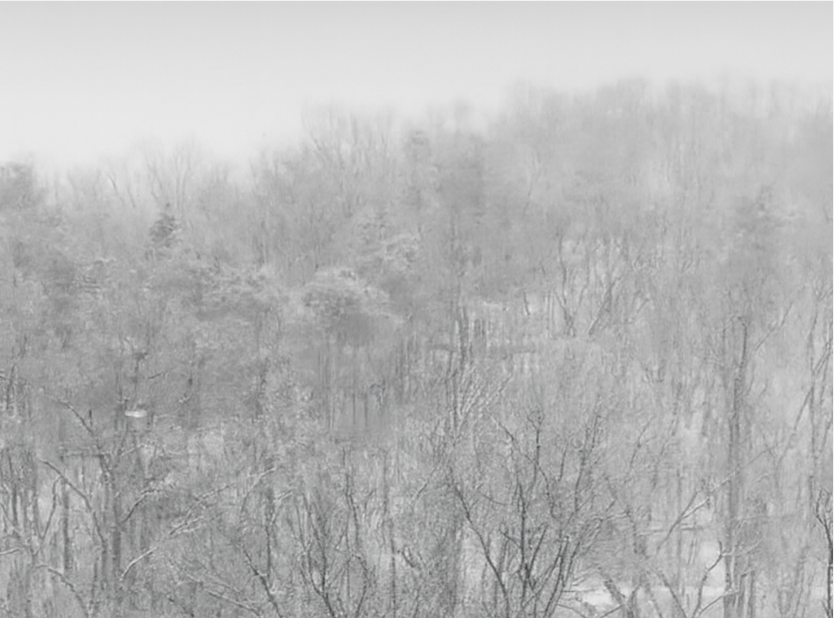 스크린샷 2025-10-26 174143.png