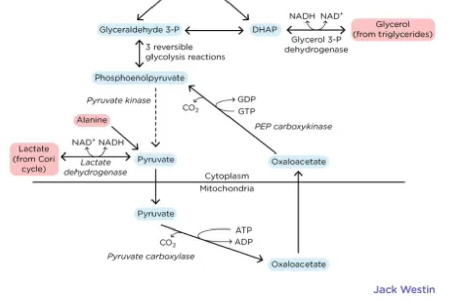 스크린샷 2024-02-14 오후 11.59.46.png