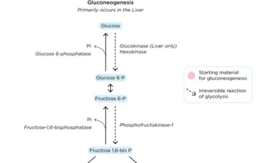 스크린샷 2024-02-14 오후 11.59.40.png