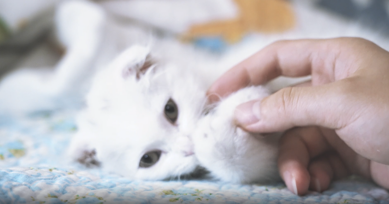 스크린샷 2024-08-16 18.37.08.png