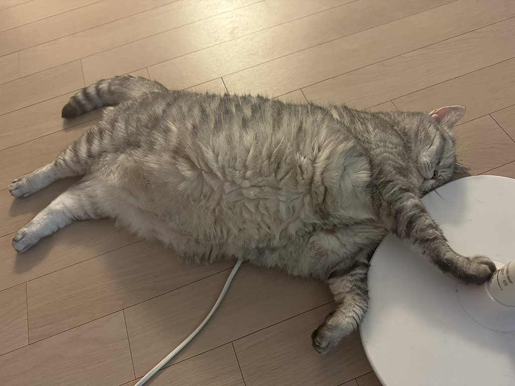 제목 없음-1.png