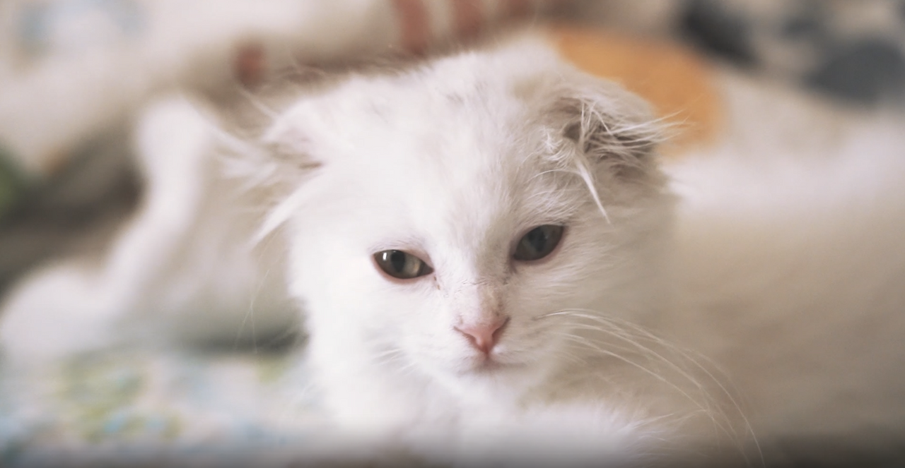 스크린샷 2024-08-09 18.54.31.png