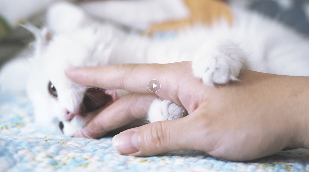 스크린샷 2024-08-09 18.53.37.png