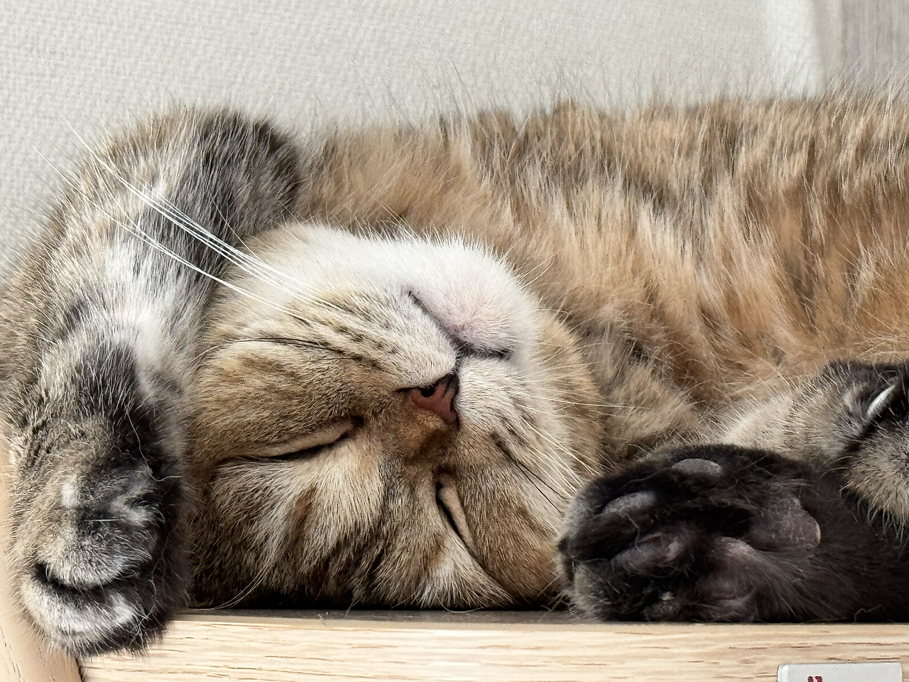 제목 없음-2.png