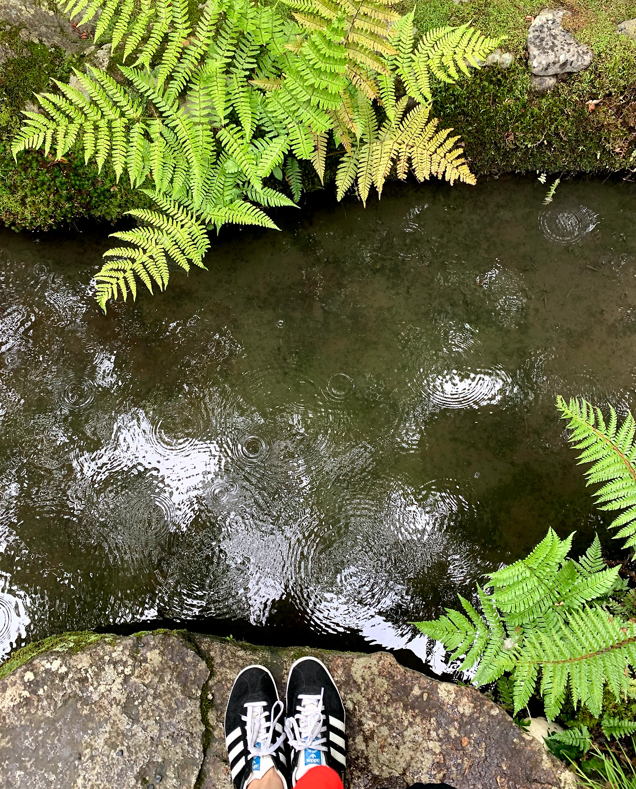 스크린샷 2020-09-08 오후 9.48.59.png