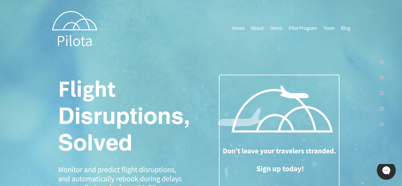 Flight Disruptions   Pilota.png