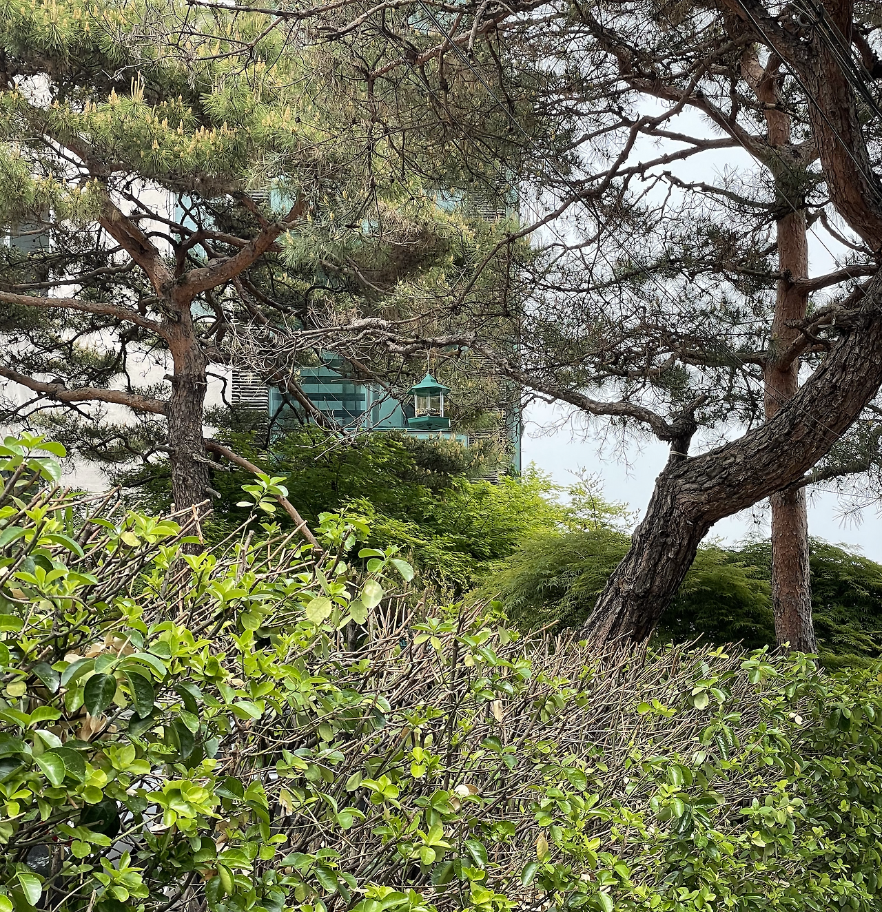 스크린샷 2021-04-28 오후 5.02.16.png