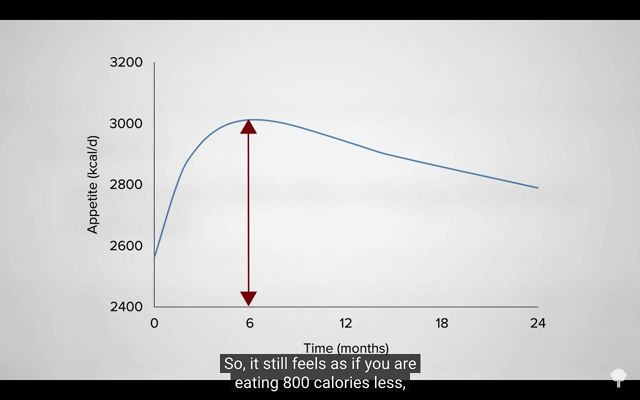 Screenshot 2020-06-15 at 1.36.23 PM.png