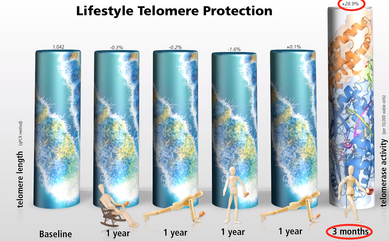 Screenshot 2019-02-07 at 3.15.46 PM.png