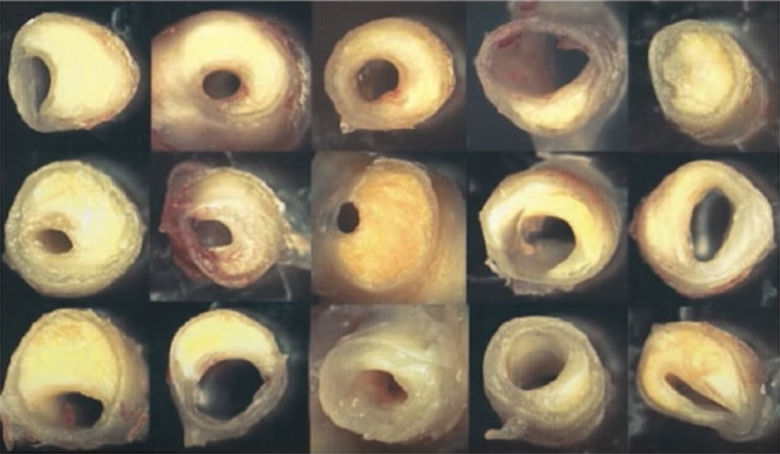 Screenshot 2019-01-30 at 3.34.03 PM.png