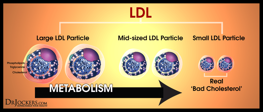 ldl-2.png