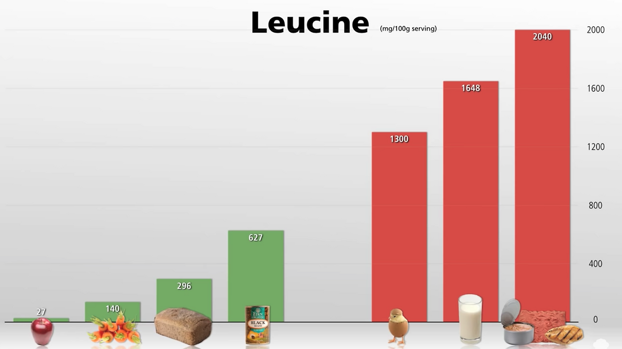 Screenshot 2020-05-26 at 1.16.41 PM.png