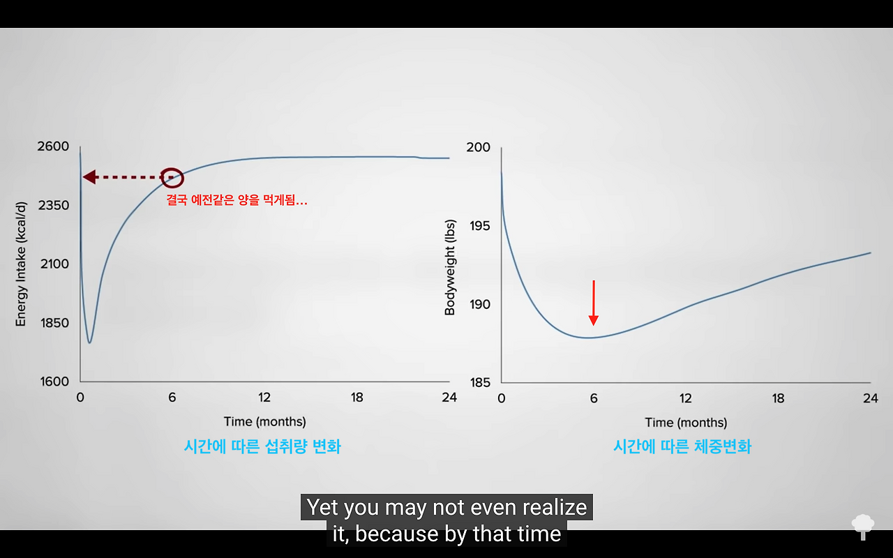 Screenshot 2020-06-15 at 12.43.56 PM.png