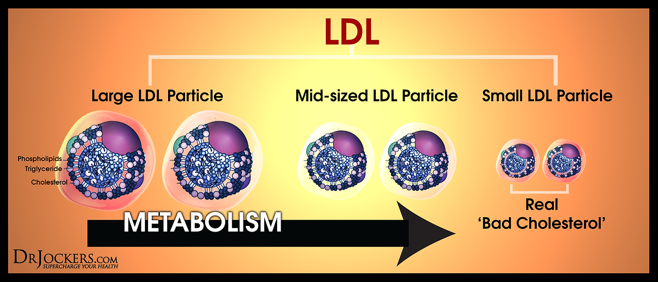 ldl-2.png