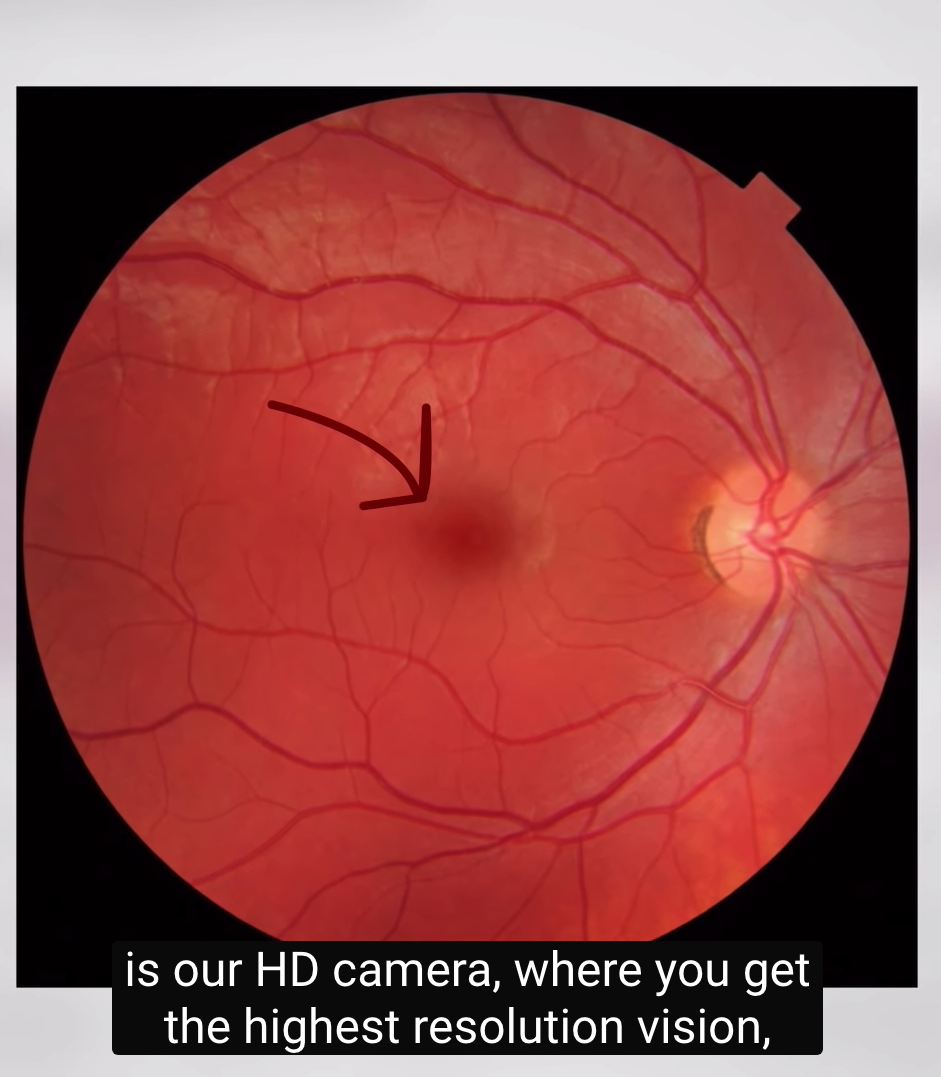 Screenshot 2019-04-27 at 2.25.29 PM (2).png