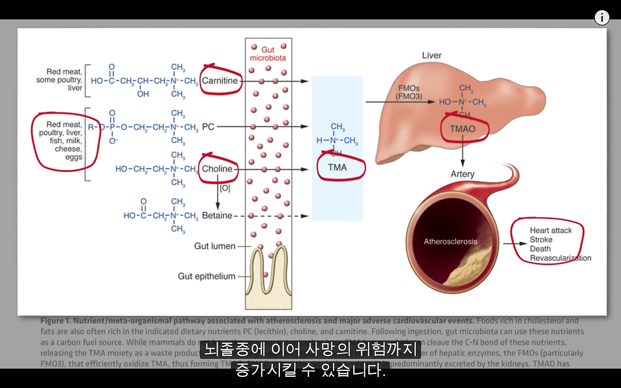 Screen Shot 2019-01-07 at 2.12.19 PM.png