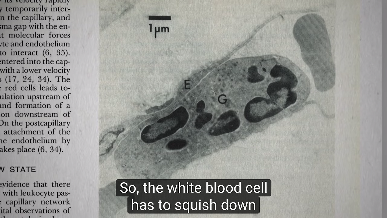 Screenshot 2019-11-26 at 1.38.21 PM (2).png