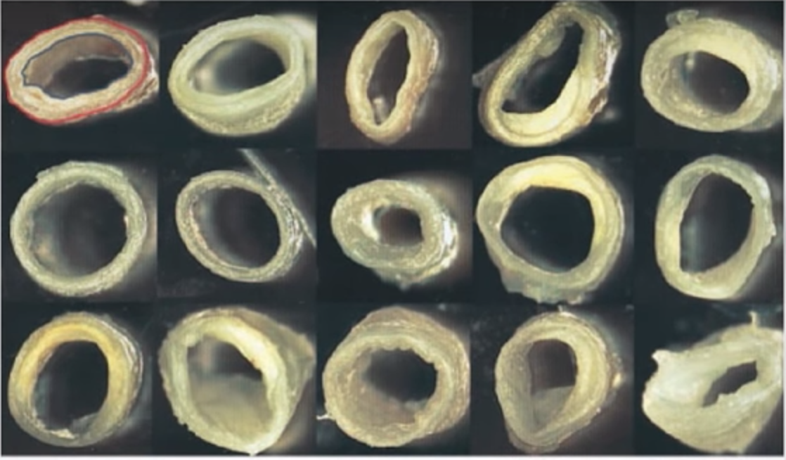 Screenshot 2019-01-30 at 3.33.52 PM.png