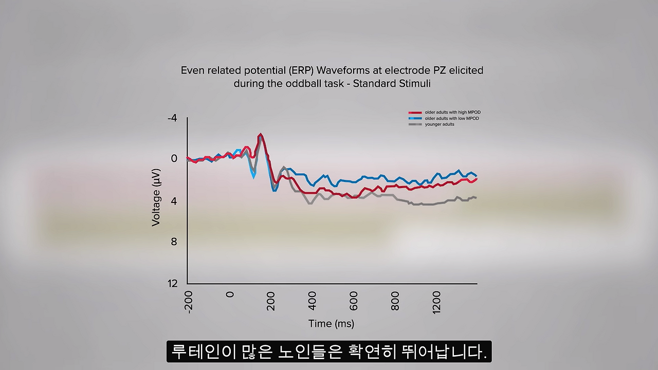 Screenshot 2019-04-27 at 3.29.26 PM (2).png