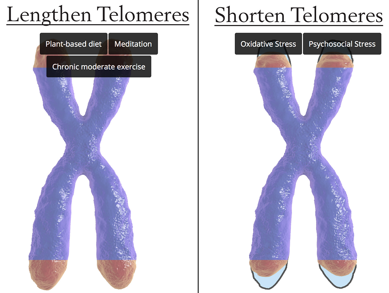 Screen Shot 2018-09-14 at 1.53.25 PM.png