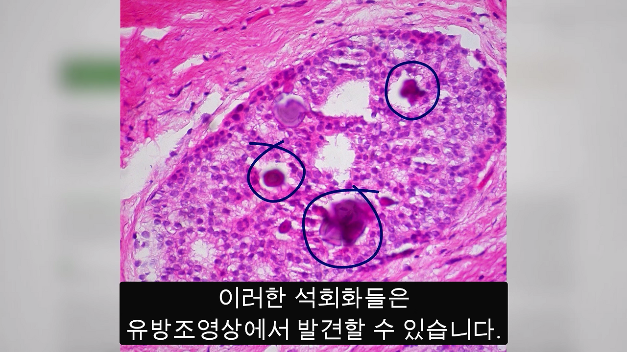 Screenshot 2019-05-19 at 4.09.36 PM (2).png