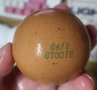 화면 캡처 2025-09-09 103409.png