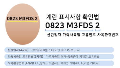 화면 캡처 2025-09-09 104711.png