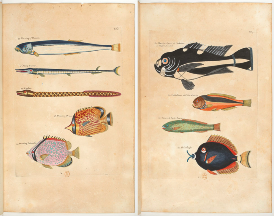 스크린샷 2019-04-25 오후 12.15.20.png