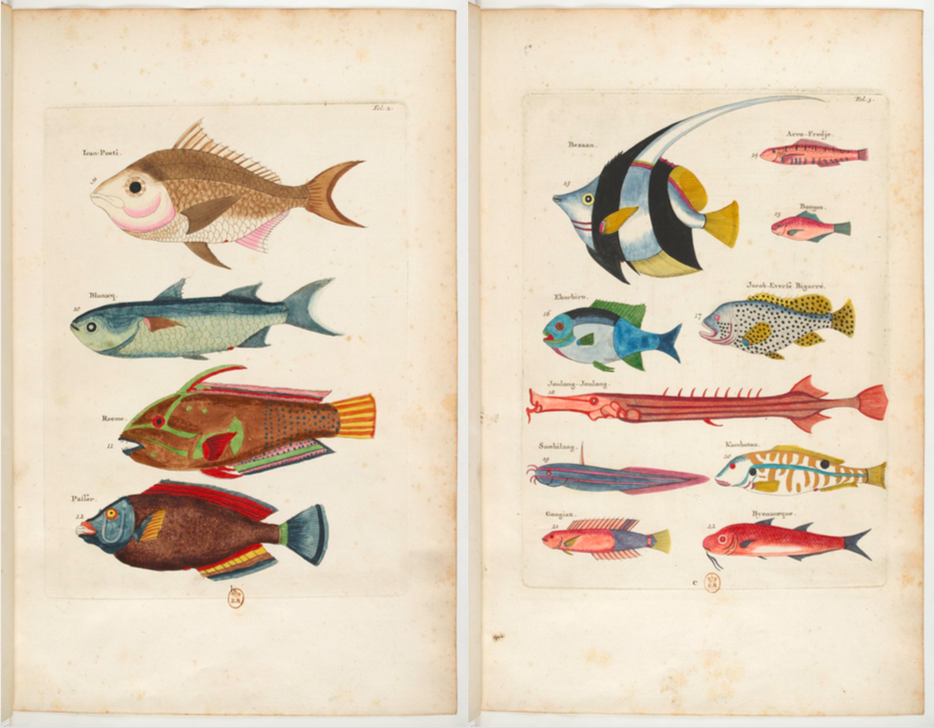 스크린샷 2019-04-25 오후 12.15.08.png