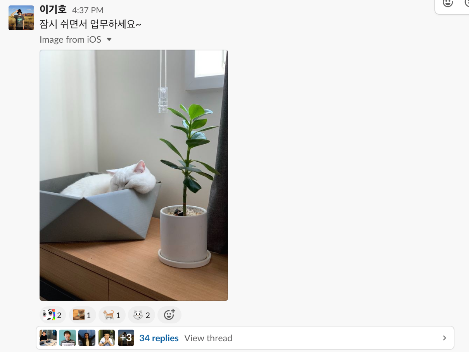 스크린샷 2020-03-09 오후 11.45.08.png