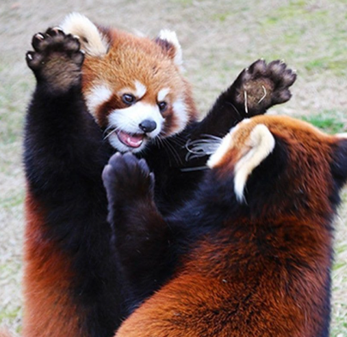 스크린샷 2025-08-03 034713.png